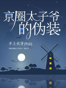 瞬间的交手