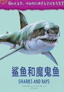 小明无敌