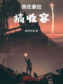 鲛鱼之森