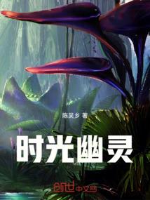 来了一个神探