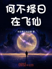 揭天录
