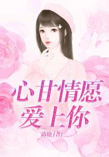 我的美女夫人