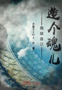 宠物小精灵之飞宇