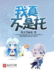 风雪残落