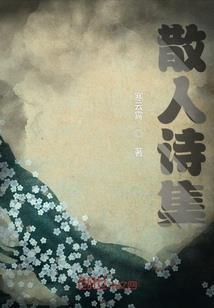 云鼎巅峰