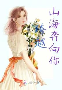 查理九世之反穿越