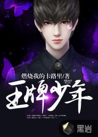 仗剑走三国