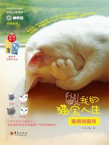 彼岸花开渲染了谁的流年