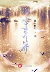 重生之王妃不简单