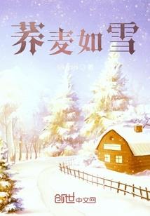 宝物搬运工