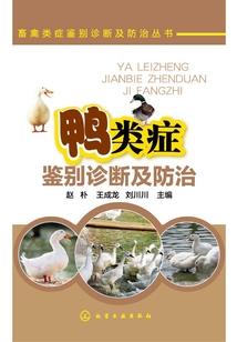 我的葵你在谁的芒下