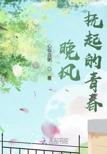 多拉贡