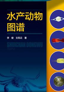能力复制王