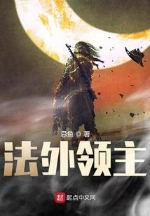 二次元de大无限