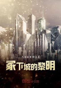 开心超人之我是忍者