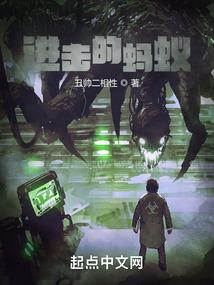誓与逝之光