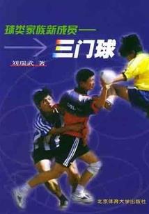 圣之极殇