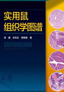 小院随笔