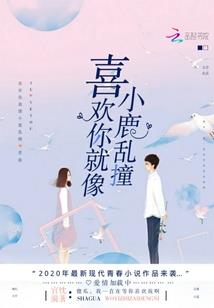 神奇宝贝小智的新冒险
