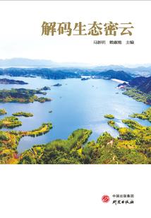 同兰簪