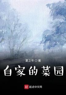 枪破天下