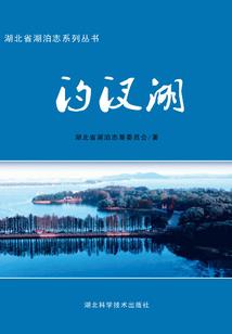 汤姆索亚历险记之历险