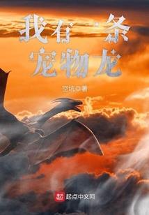 风的归途