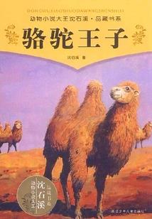 不必两相欢
