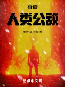异域传奇人生