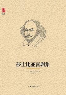 最后的执法者