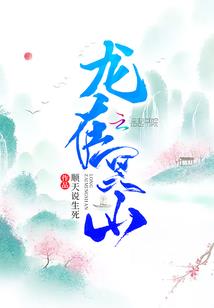 武界，你好