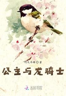 暗夜骑士的哀伤