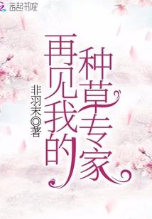 守护甜心之永远的契约