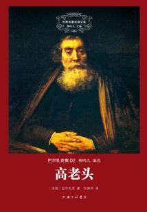 火影之忍界守护者