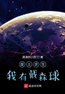 心灵收集者
