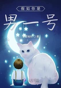 九年回忆