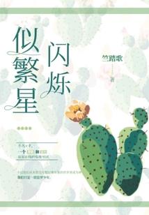 盗世红颜录
