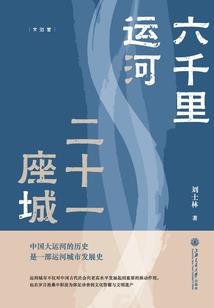 铁血丹心剑