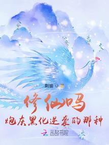 名为兵器之物的终曲