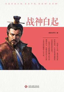 王妃有毒闯王府