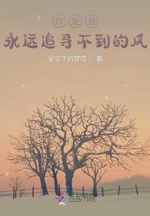 武道无情