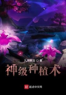 凡璞归真之在下穆乘风