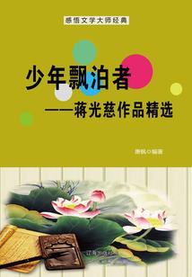 现代赖布衣传说系列