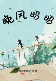 至尊杀手王妃