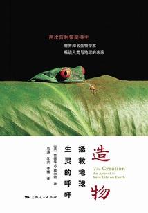 路莫愁之天陨劫