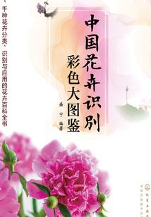 黎明的最后一朵花
