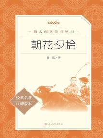 世界级盲盒玩家