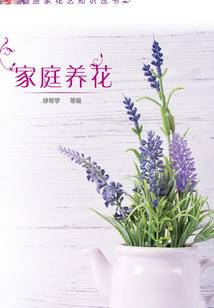 蜜宠女子当自强