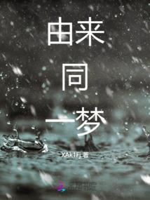 奥特芯片系统