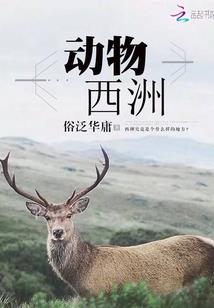 三界大仙